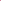 Frenchie Comfort Leash - Teddy Hot Pink